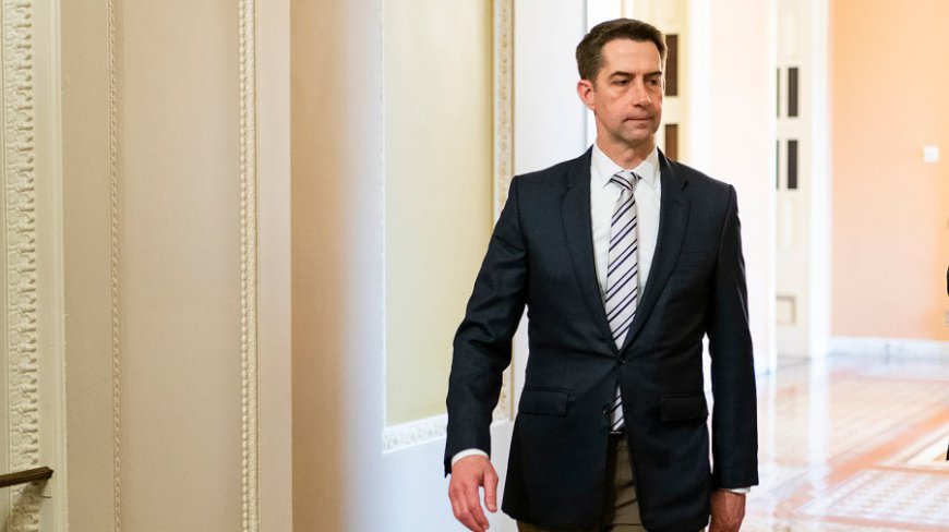GOP senator asks Pentagon for information on Microsoft's Chinese engineers