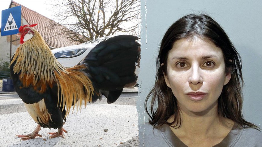 Fowl play: Florida woman charged after allegedly spraying mace at driver who struck chicken crossing the road