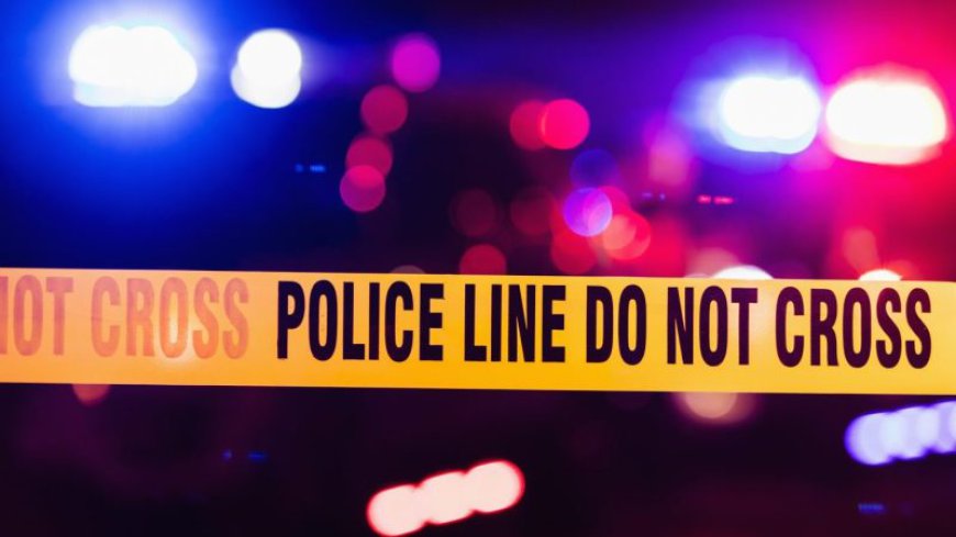 31 injured outside LA club after car rams into crowd