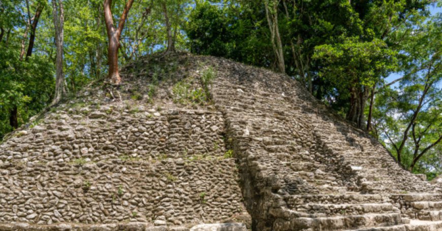 VIDEO: Archaeologist Couple Finds Treasure Trove in 4th Century Mayan King's Tomb