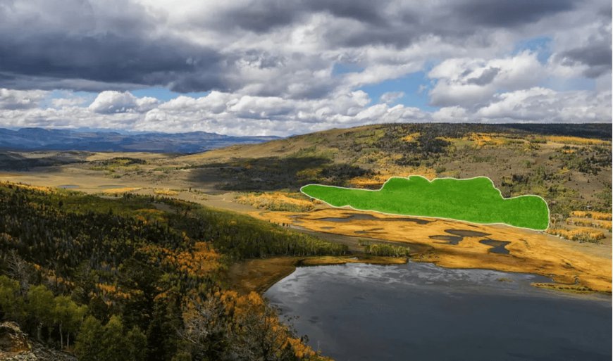 An Enormous "Blob" In Utah Is Up To 80,000 Years Old And Among Earth's Oldest Organisms