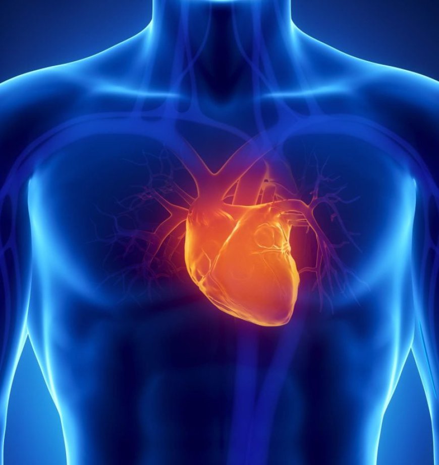 “Remarkable” Results – Scientists Say This Supplement Reversed Heart Damage