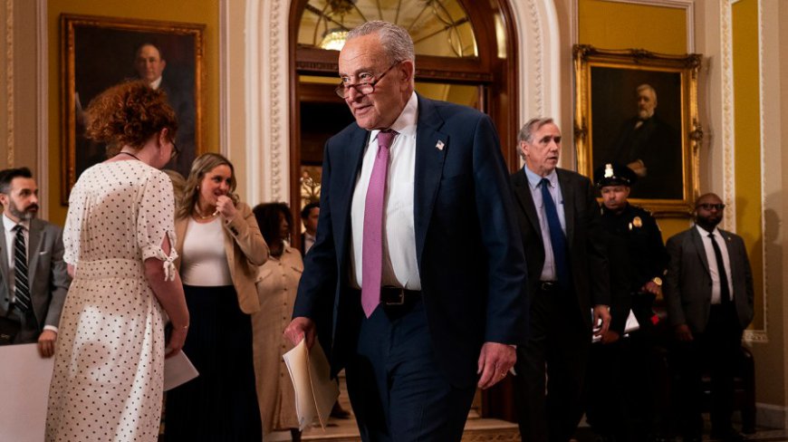 Here's where Democrats stand in polls at Trump's six-month mark