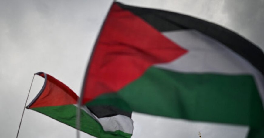 Royal Opera House Performer Turns Finale into Pro-Palestine Protest