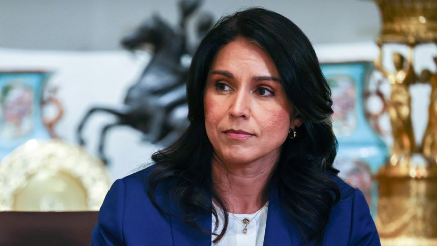 Tulsi Gabbard details bombshell claims of Obama-era cabal's 'treasonous conspiracy' against Trump