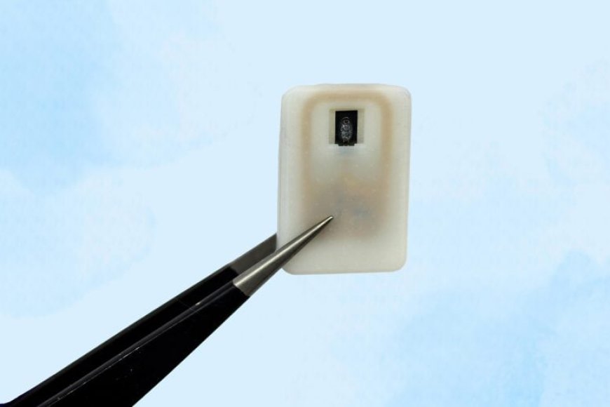 MIT’s Tiny New Device Could Save Diabetics From Deadly Blood Sugar Crashes