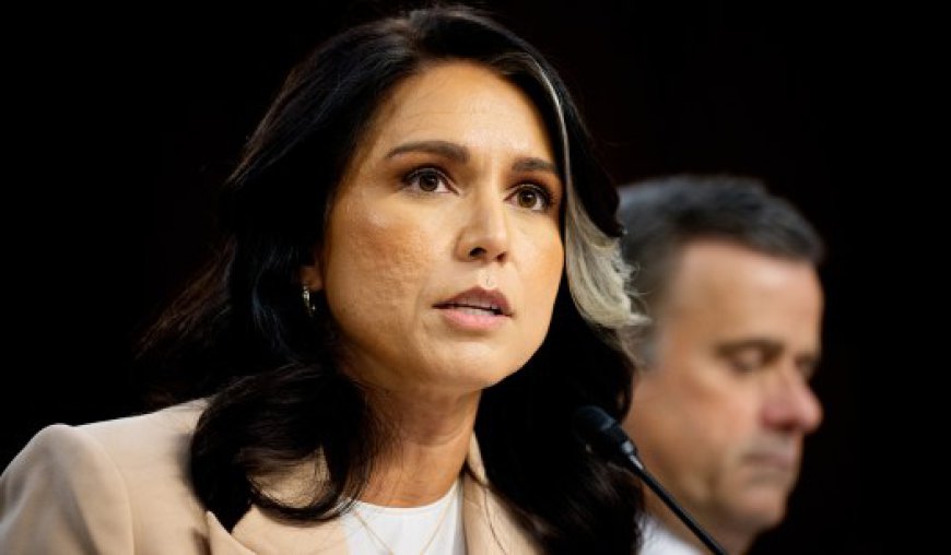 Russiagate Re-Revisited: Gabbard Urges DOJ to Prosecute Obama Officials