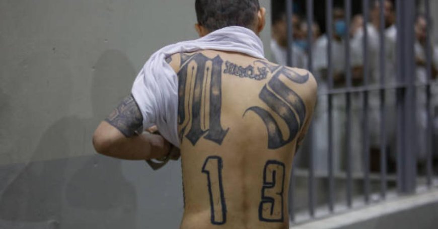 Three alleged MS-13 gang members charged in fatal 2024 stabbing of Maryland homeless man: DOJ…