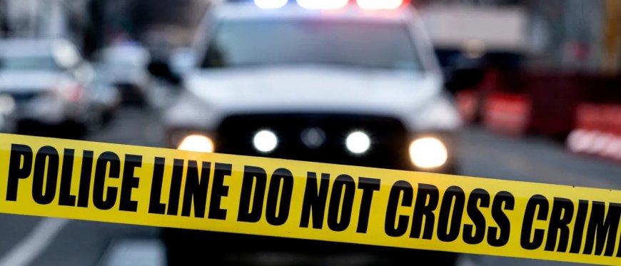 ICE Agents Arrest ‘Depraved’ Illegal Who Kept Dead Woman’s Body In Storage For Months