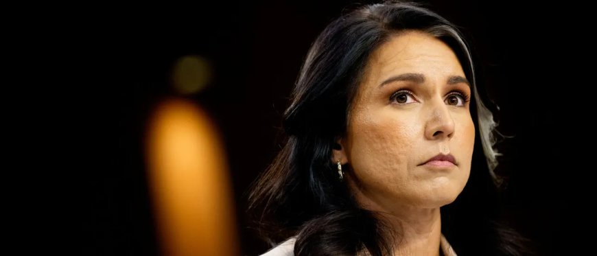 Editor Daily Rundown: Tulsi Gabbard Accuses Officials Of ‘Conspiracy’ Against Trump