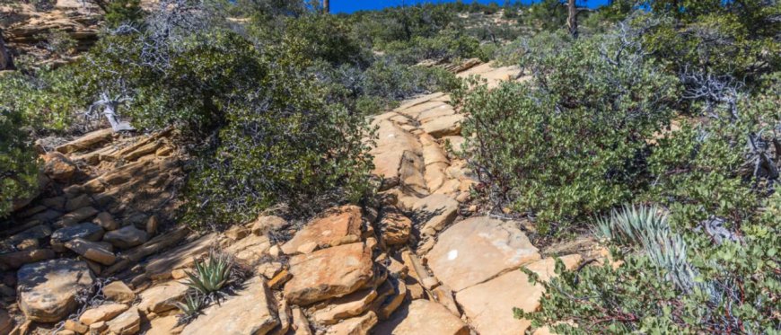 Hikers Watch Fellow Backpacker Step On Loose Rock, Triggering Massive Cascade Of Boulders And Death