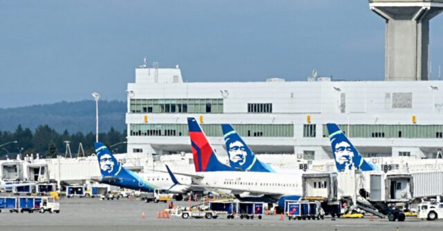 Alaska Airlines Temporarily Grounded All Flights Due to Technical Error