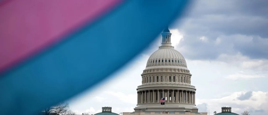 Trump Admin’s Dismantling Of Gender Ideology Leaves Activists, Legacy Media Reeling