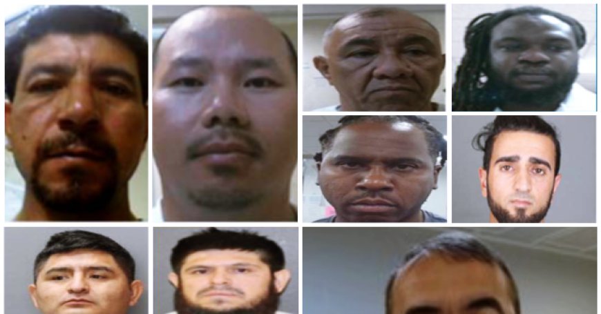 ICE Agents Arrest 'Barbaric' Illegal Aliens Convicted of Murder, Child Rape, Sexual Assault over Weekend