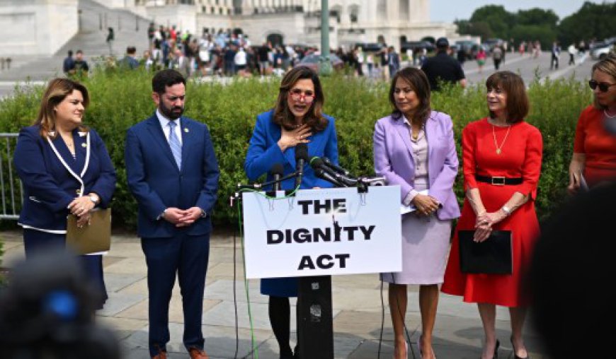 A Pathway to Amnesty