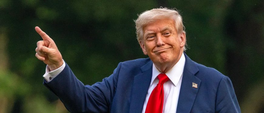 Liberals Strain Themselves Trying To Rip Page From Trump’s Playbook