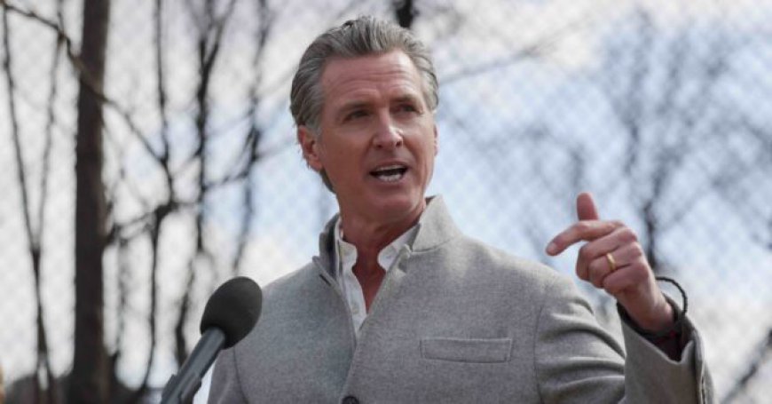 FireAid Money Went to Group in Newsom's Office; 'California Native Vote Project', Too