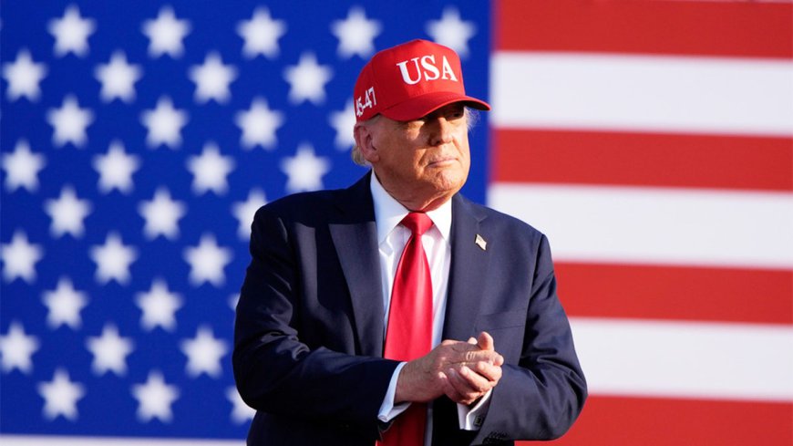 LIZ PEEK: Trump could secure his place in American history with this bold immigration reform strategy