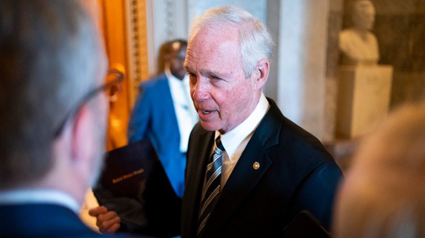 Sen. Johnson: Media 'either duped or complicit' in Russia election interference 'narrative'