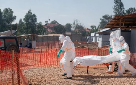 African Ebola Cases Surge nearly 40% in a Week, Hundreds Dead