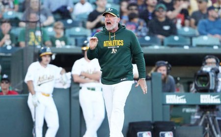 Hot mic catches heated argument between MLB manager and umpire after controversial ejection