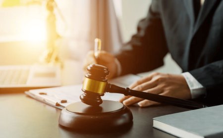 The Dutch Covid Inquiry Is Not Looking for the Truth
