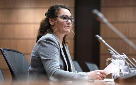 Watchdog rejects idea of narrowing information law