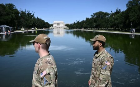 National Guard Stationed at Lincoln Reflecting Pool After Multiple Sabotage Attempts