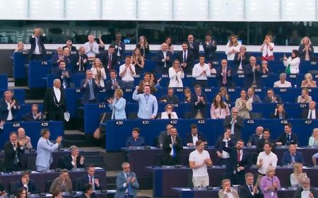 'Send them back' chants rock European Parliament after landslide vote to speed up deportations