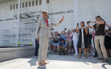 Dem who sued to remove Trump's name from Kennedy Center now says venue becoming 'lifeless husk' in fresh fight