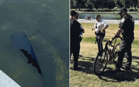 Former Olympian among those charged with vandalizing Reflecting Pool; Trump says basin must be drained