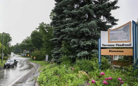 Quebec town recognizes the rights of trees