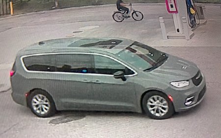 Person of interest identified in Edmonton alleged child luring case