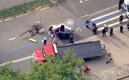 Vigil planned for 18-year-old tourist killed in Central Park horse-drawn carriage incident