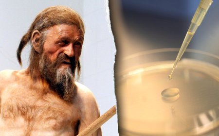 Scientists find 'signs of life' inside 5,300-year-old mummy in remarkable discovery