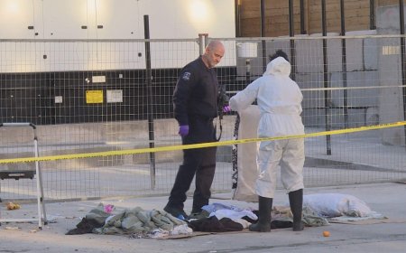 Defence awaits autopsy results in Halifax newborn death case