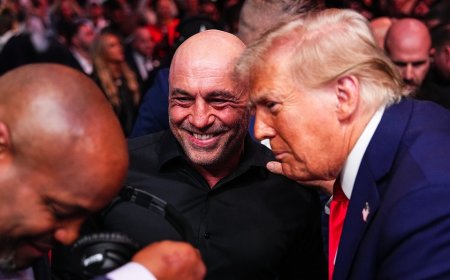 Joe Rogan reveals Trump's surprising backstage remark about possible attack on UFC event