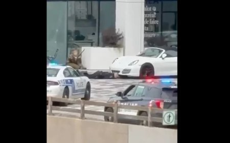 Wild Footage! Canadian Police In Shootout With Camouflage-Clad Gunman, Leaving Civilian, Cop & Suspect Deceased