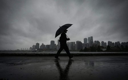 A soggy June could mean mosquitoes ‘plaguing’ many Canadians, experts say