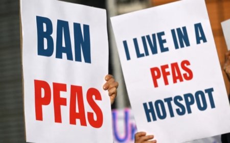 Everybody Chemicals: PFAS Chemicals Are in the Bodies of Every Single America—Here’s What That Means
