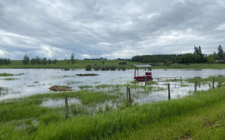 Flooded Alberta farmland raises concerns about crop losses