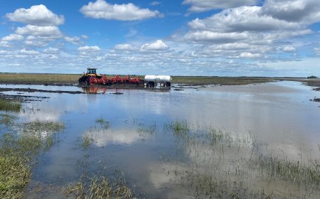 Some Manitoba farmers attempt reseeding after storm damage
