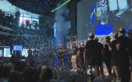 ‘Started to feel like destiny’: Toronto Marlies celebrate Calder Cup victory