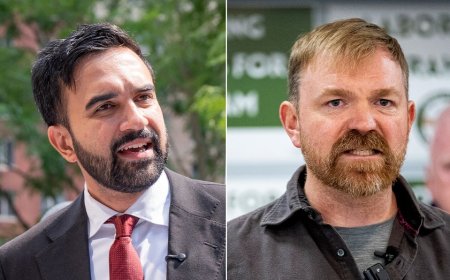 Democrats' new-wave socialists are winning primaries but face a harsh reality in general elections