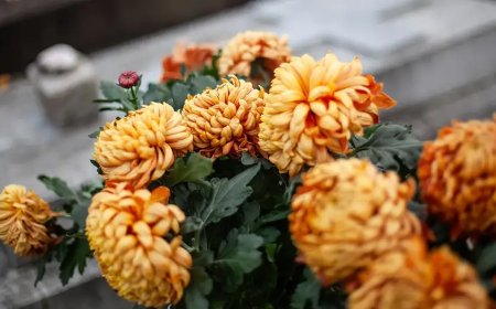 What scammers do the week your spouse dies