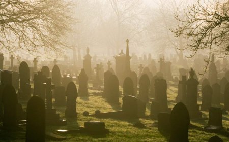 Man arrested in Hungary for collecting human body parts from cemeteries