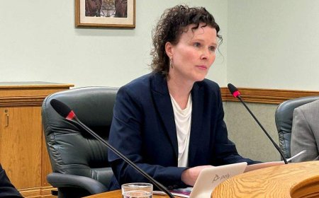 Poor planning, budgeting issues identified as flaws in SPSA by provincial auditor