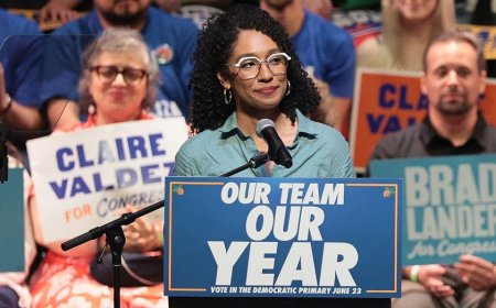 Democratic strategist calls socialist candidates 'parasites' who could 'set the party back decades'