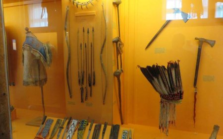 Indigenous advocacy group calls on Swiss collector to avoid private sale of artifacts