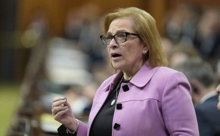 ‘Something’ led to ‘lost Canadian’ citizenship recalls, minister says
